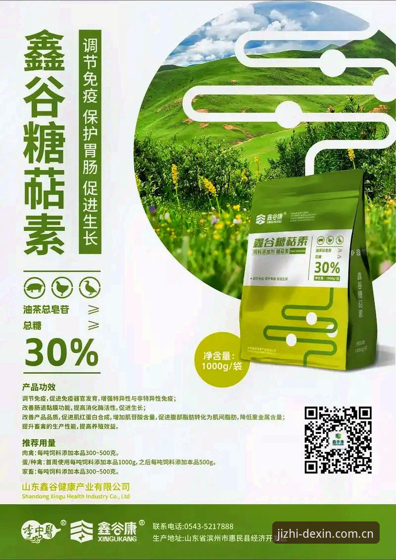 德信体育手机版 5个突破性创新:德信体育手机版如何重新定义竞技体验